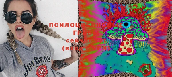 стафф Белокуриха