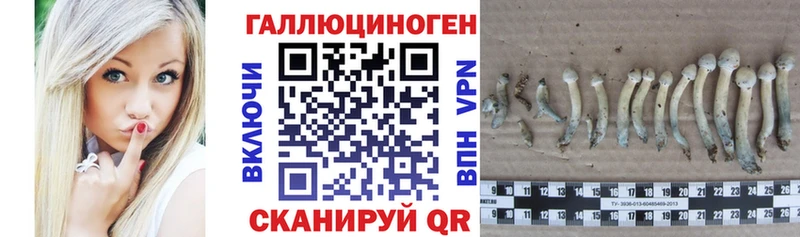 Псилоцибиновые грибы прущие грибы  Купить закладки  Узловая 
